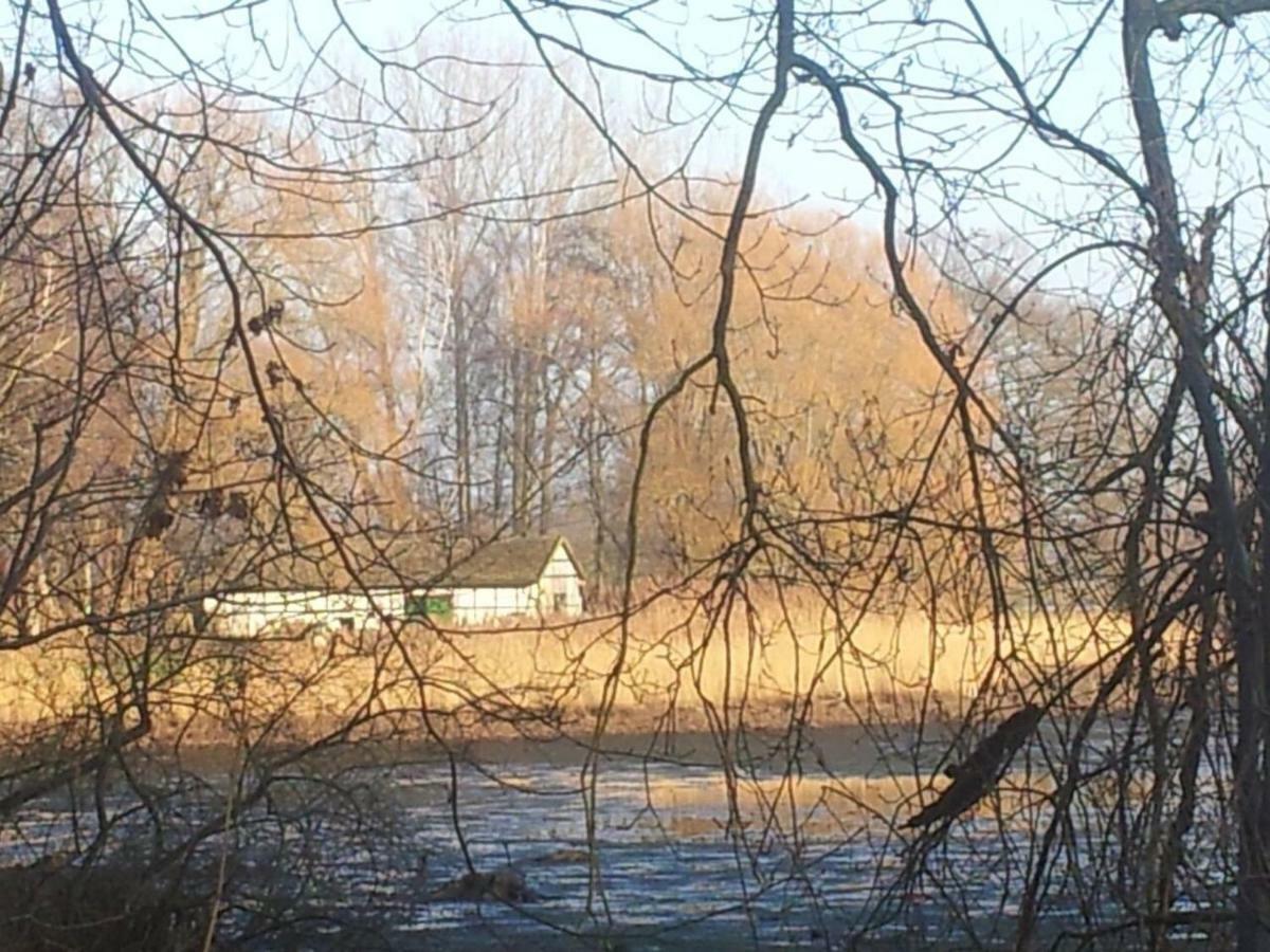 Sonniges Haeuschen Mit Garten Braunschweig Exterior photo